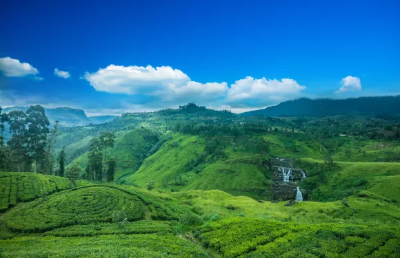 努沃勒埃利耶區