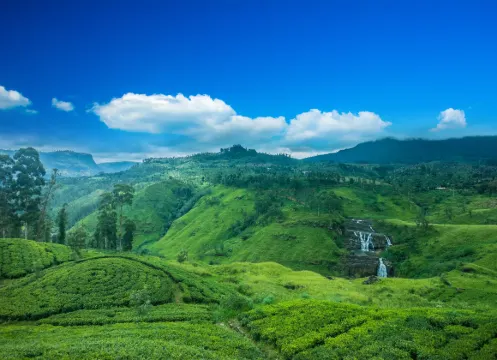 努沃勒埃利耶區