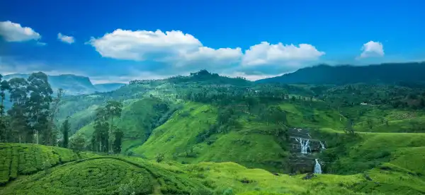 Thema Collection Properties in Nuwara Eliya District