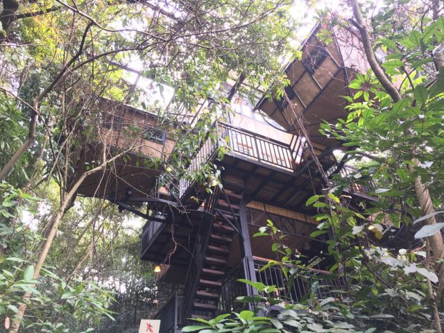 수상 온천 Attractions - 칭위안 Travel Review -2018년 2월 6일Travel Guide - Trip.com