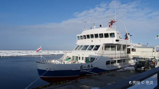 Abashiri Drift Ice Sightseeing & Icebreaker Ship