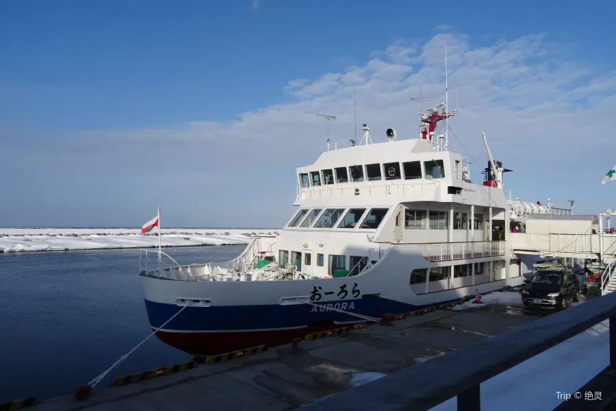 網走流氷観光砕氷船 おーろら