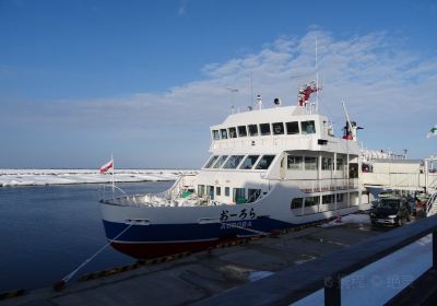 Abashiri Drift Ice Sightseeing & Icebreaker Ship