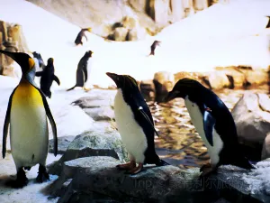 Montreal Biodome