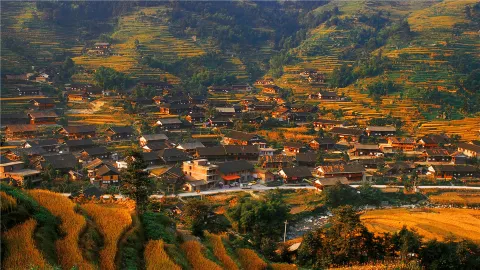 Ziquejie Terraces attraction in Hunan