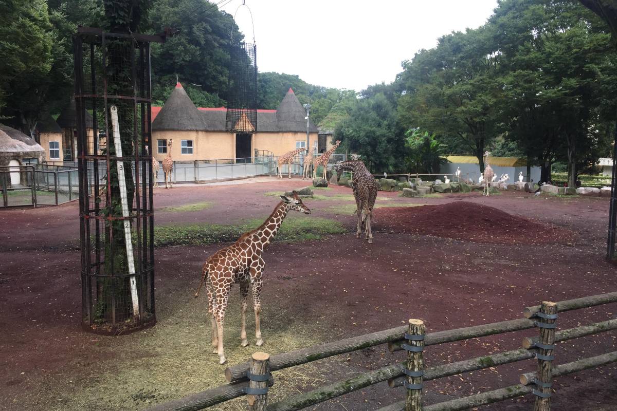 多摩動物公園。圖片來源：Trip.com