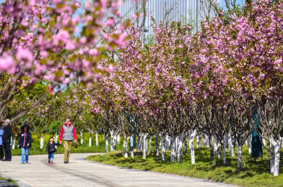 3_Canal Sanwan Scenic Area