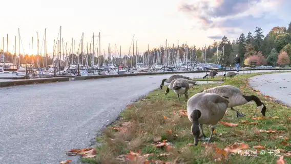 Vancouver One Day Tour