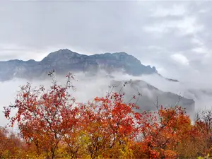 Taihang Grand Canyon Scenic Area