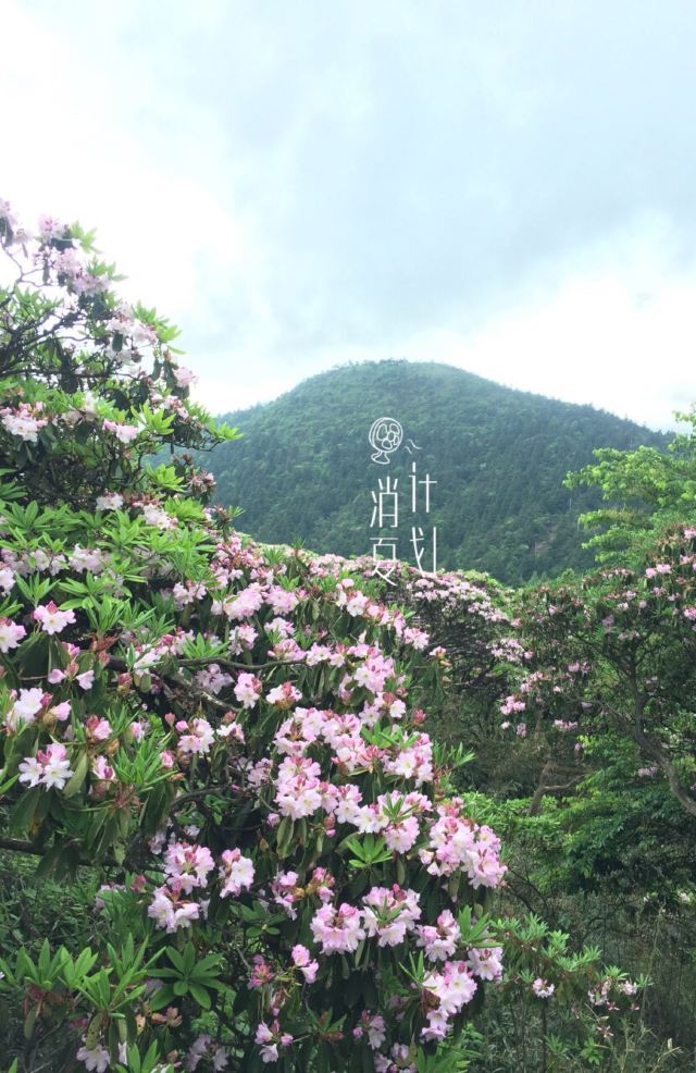 화딩 국가산림공원