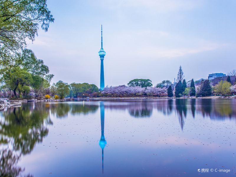 CCTV Tower