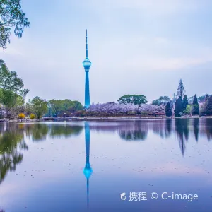 中央廣播電視塔