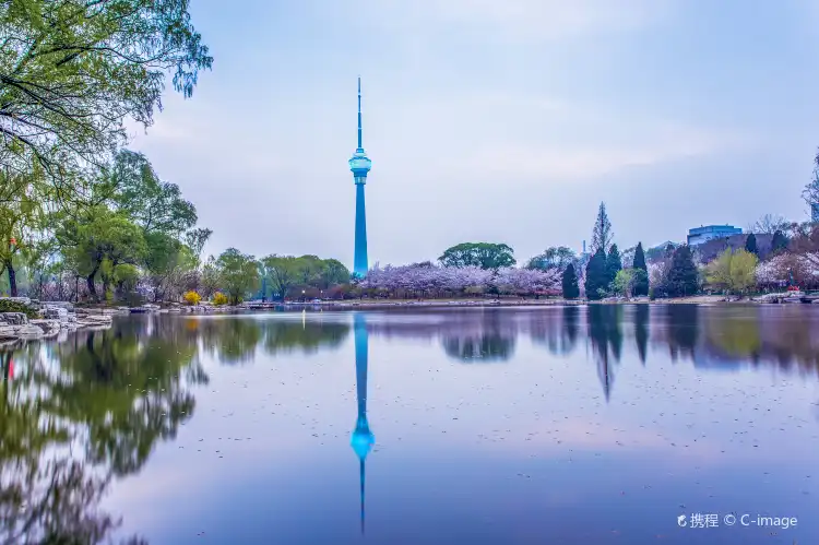 Hotels near Central Tv Tower