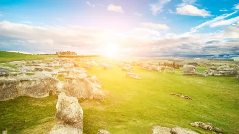 Oamaru travel destination