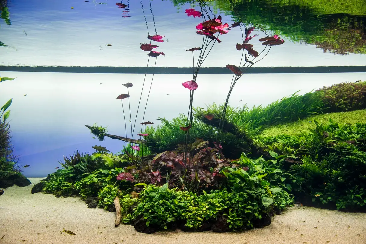 5_ลิสบอนโอเชี่ยนเรียม