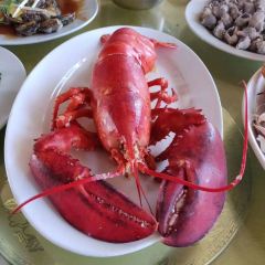 XINGHAIYUGANG User Photo