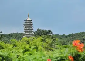 Baohuashan National Forest Park