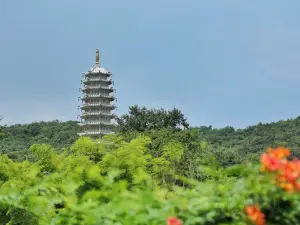 宝華山国家森林公園