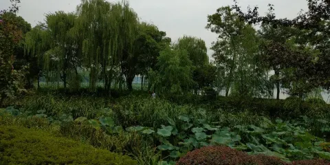 知本樂山步道