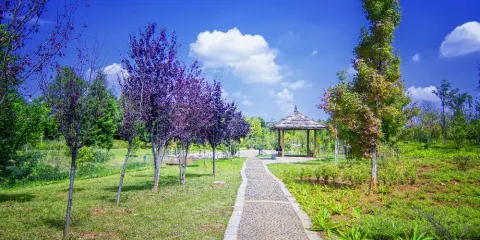 和園嵩明圓博園