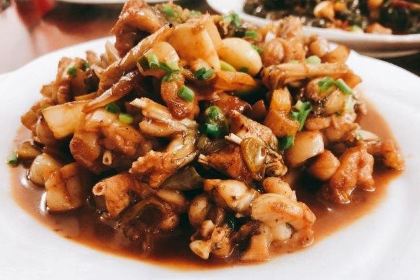 XIN WANG TU CAI GUAN