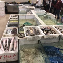 Yueximei'aoyucun User Photo