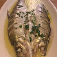 FENNEL User Photo