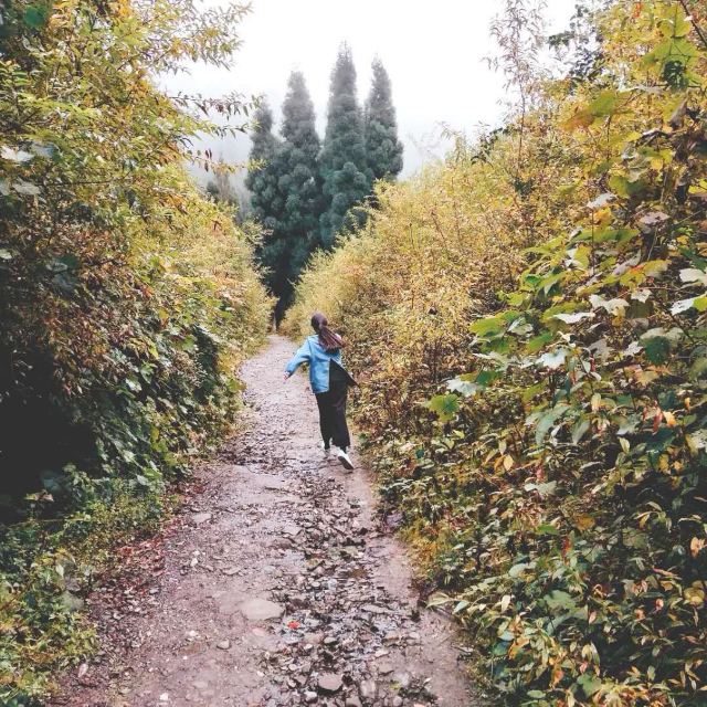 지관산
