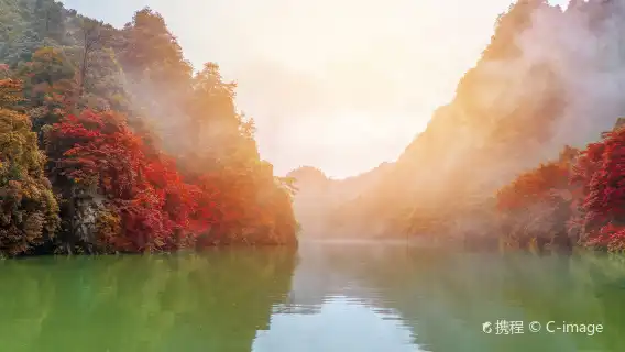 阿凡達張家界山和玻璃橋一日遊