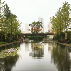原来宝鸡 여행 사진