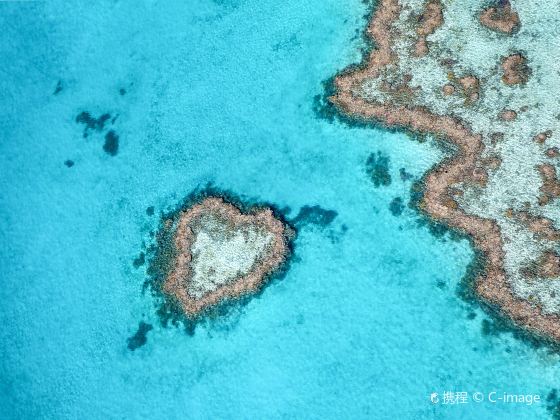 Heart Reef