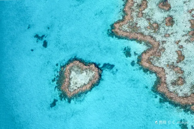 Отзывы об отеле Peppers Beach Club Port Douglas