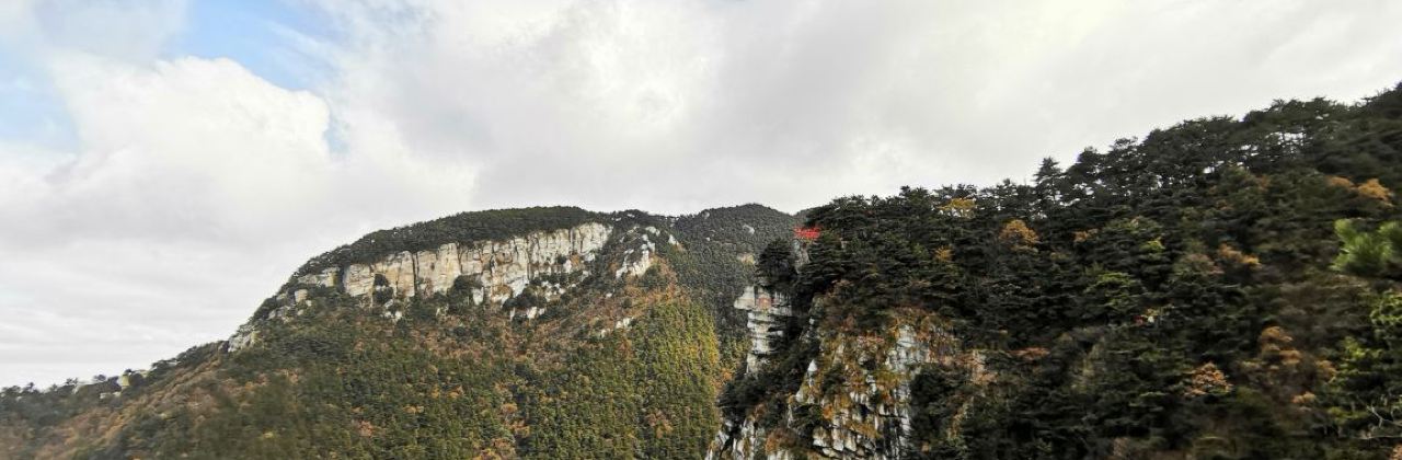 金四季土菜馆·三十年本土山野菜(庐山店)