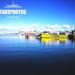 Cicerello's Mandurah User Photo