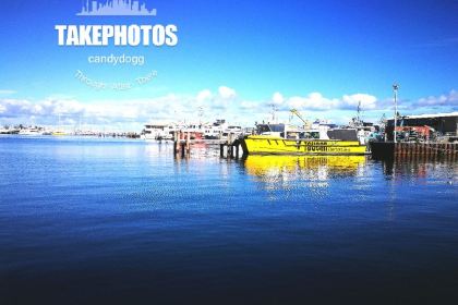 Cicerello's Fremantle