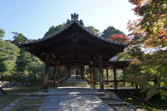 東福寺