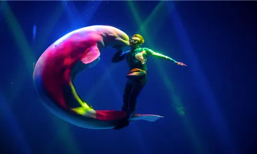 Macrolink Beluga Ocean Park