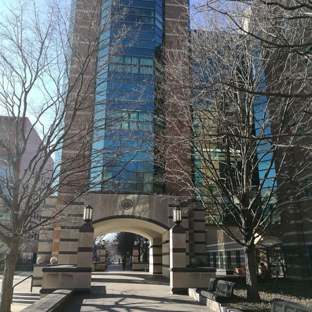University of Illinois at Urbana-Champaign