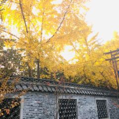 淮安賓館·餐廳張用戶圖片