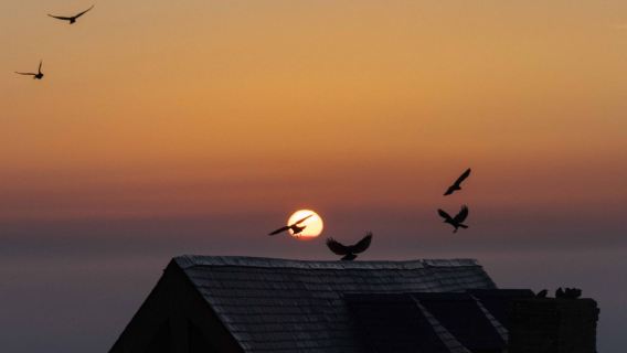 Tour di un giorno a Le Mont-Saint-Michel e Abbazia di Mont-Saint-Michel con visita guidata e trasferimento in bus