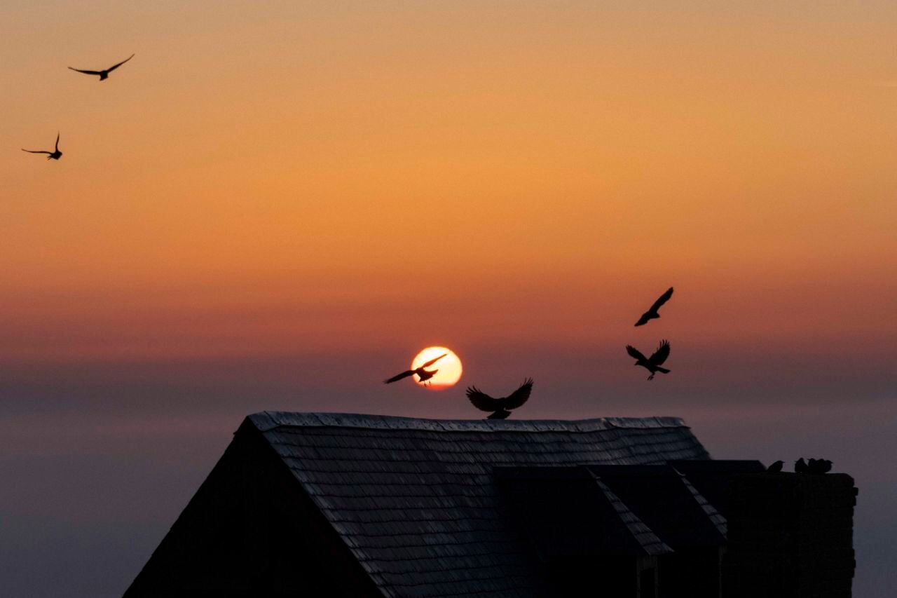 Tour di un giorno a Le Mont-Saint-Michel e Abbazia di Mont-Saint-Michel con visita guidata e trasferimento in bus