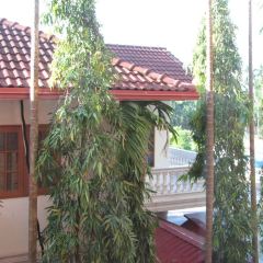 Dagon Kyaw User Photo