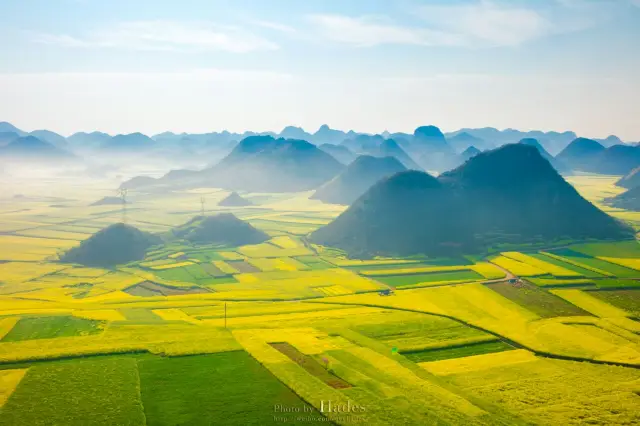 Rapeseed Flowers Viewing in Qujing