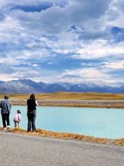 Mt Cook Alpine Salmon Shop