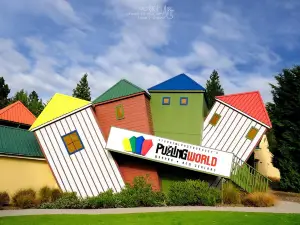 Puzzling World
