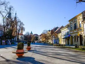 Сремски-Карловци