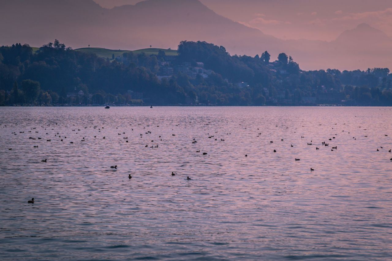 1-day tour to Natur-Museum Luzern + Lake Lucerne + Swiss Museum of Transport [Flexible Itinerary]