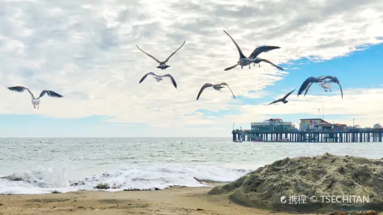 Capitola Beach