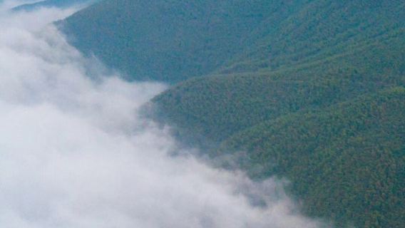 德清下渚湖濕地公園＋莫干山【莫干山私人導遊講解服務】