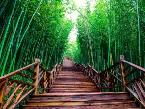 Guanyin Cave, Miles Bamboo Forest Scenic Area